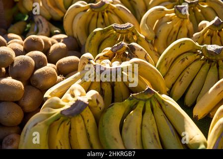 Reife Bananen im Marktregal.Frische Bananen auf dem Markt. Stockfoto
