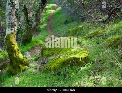 Yosemite und Morgan Territory Stockfoto