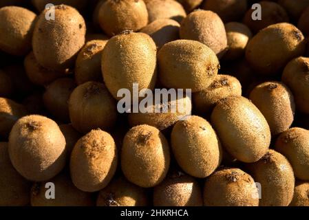 Kiwis in einer Kiste auf dem Markt bereit, an Kunden zu verkaufen. Stockfoto