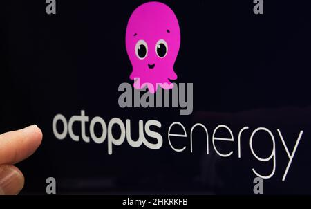 Das Energieunternehmen OCTOPUS ENERGY Logo und der Finger zeigen darauf. Großbritannien, Stafford, 18. Dezember 2021. Stockfoto