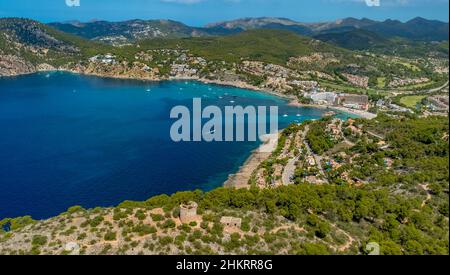 Luftbild, Bucht und Strand Platja de Camp de Mar, Restaurant Illeta auf kleiner Insel mit Steg, es Camp de Mar, Andratx, Mallorca, Balearen, S Stockfoto