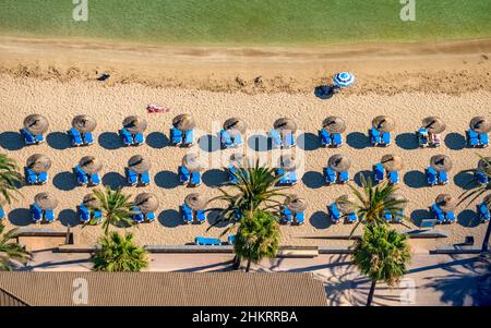 Luftbild, Bucht und Strand Platja de Camp de Mar, Restaurant Illeta auf kleiner Insel mit Steg, es Camp de Mar, Andratx, Mallorca, Balearen, S Stockfoto