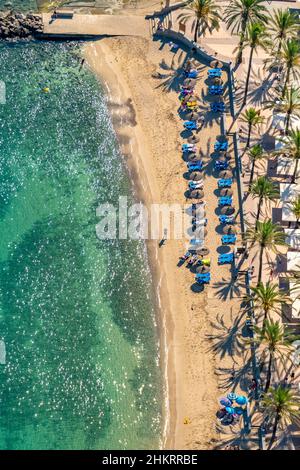 Luftbild, Bucht und Strand Platja de Camp de Mar, Restaurant Illeta auf kleiner Insel mit Steg, es Camp de Mar, Andratx, Mallorca, Balearen, S Stockfoto