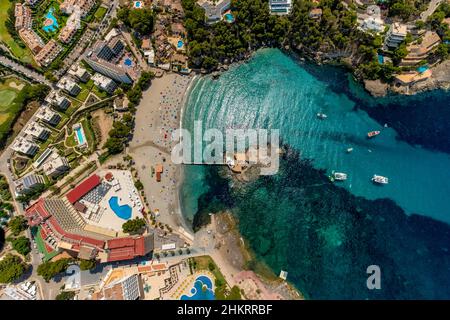 Luftbild, Bucht und Strand Platja de Camp de Mar, Restaurant Illeta auf kleiner Insel mit Steg, es Camp de Mar, Andratx, Mallorca, Balearen, S Stockfoto