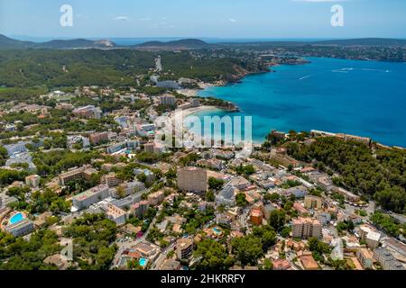 Luftbild, Bucht und Strand Platja de Camp de Mar, Restaurant Illeta auf kleiner Insel mit Steg, es Camp de Mar, Andratx, Mallorca, Balearen, S Stockfoto