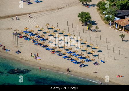 Luftbild, Strand und Strandleben mit Strohschirmen und Liegestühlen am Strand Platja d'Alcúdia, Alcúdia, Mallorca, Balearen, Spanien, bather Stockfoto