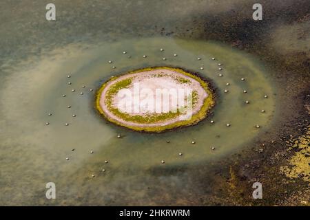 Luftaufnahme, Llacuna de sa Barcassa, Insel mit Vogelperspektive und Wasserspiel, Alcúdia, Mallorca, Balearen, Spanien, Es, Europa, Antenne pho Stockfoto