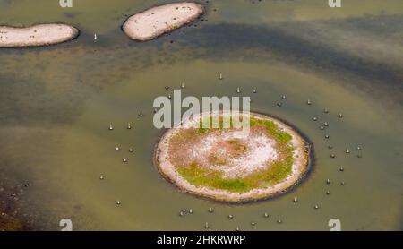 Luftaufnahme, Llacuna de sa Barcassa, Insel mit Vogelperspektive und Wasserspiel, Alcúdia, Mallorca, Balearen, Spanien, Es, Europa, Antenne pho Stockfoto