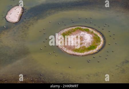 Luftaufnahme, Llacuna de sa Barcassa, Insel mit Vogelperspektive und Wasserspiel, Alcúdia, Mallorca, Balearen, Spanien, Es, Europa, Antenne pho Stockfoto