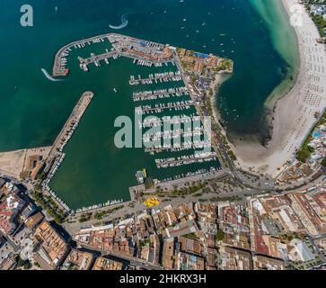 Luftaufnahme, Port d'Alcúdia, Bucht von Alcúdia, Strand und Hafen von Platja d'Alcudia, Alcúdia, Mallorca, Balearen, Spanien, Es, Europa, Hafen, Luftanbindung Stockfoto