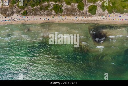 Luftbild, Strand und Strandleben, Platja de Muro, Muro, Balearen, Mallorca, Spanien, es, Europa, Luftaufnahme, Luftaufnahmen, Luftbild Stockfoto