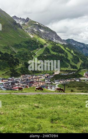 Kühe grasen auf einer Almwiese im Hintergrund Häuser, Straßen, Skilifte im alpen-Skigebiet Obertauern im Sommer, Radstadter Tauern, Österreich Stockfoto