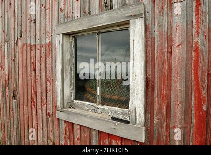 Ein verwittertes Fenster umrahmt Angelausrüstung, die in einem Schuppen im Dorf Victoria am Südufer von Prince Edward Island aufbewahrt wird. Stockfoto