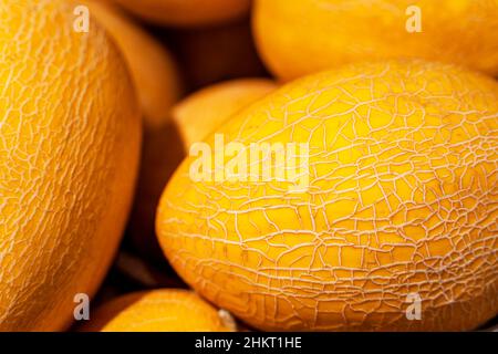 Süße gelbe Melonen auf der Theke im Supermarkt. Verkauf von Melonen auf der Straße. Stockfoto