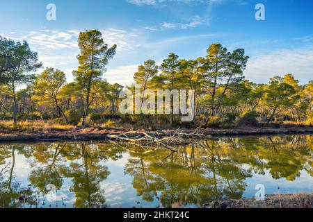 Panoramablick vom Divjaka - Karavasta Nationalpark in Albanien. Stockfoto