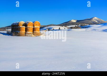 Heuballen unter dem schwarzen Berg entlang der kontinentalen Kluft im Winter in der Nähe von avon, montana Stockfoto