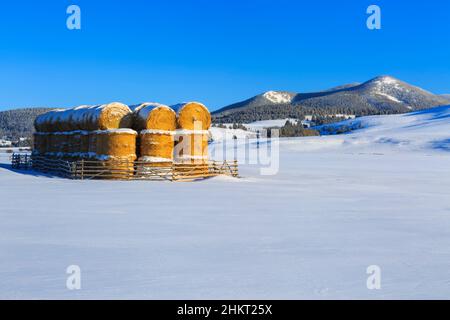 Heuballen unter dem schwarzen Berg entlang der kontinentalen Kluft im Winter in der Nähe von avon, montana Stockfoto