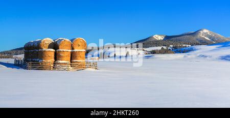 Panorama von Heuballen unter dem schwarzen Berg entlang der kontinentalen Kluft im Winter in der Nähe von avon, montana Stockfoto