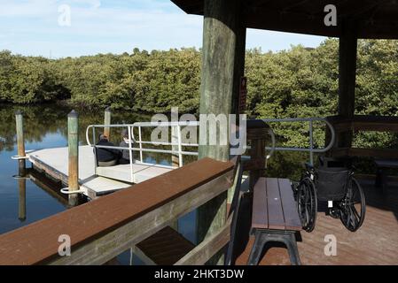 Ein Rollstuhl sitzt oben auf einer Rampe, die zu einem Paar führt, das sich an einem sonnigen Wintertag auf einem schwimmenden Pier, umgeben von Wasser und Mangroven, entspannt Stockfoto