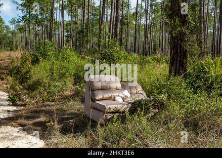 Ein verlassenes Sofa links neben einer unbefestigten Straße in einem Tiger Bay State Park, Florida, USA. Stockfoto