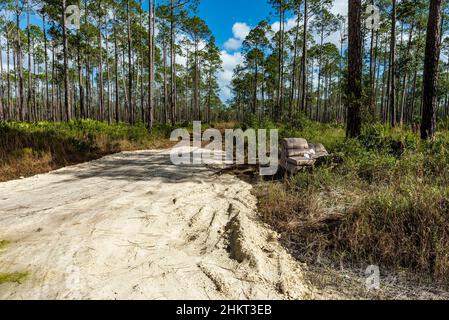 Ein verlassenes Sofa links neben einer unbefestigten Straße in einem Tiger Bay State Park, Florida, USA. Stockfoto