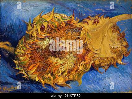 The Two Cut Sunflowers von Vincent Van Gogh 1887, Metropolitan Museum of Art in New York, USA Stockfoto