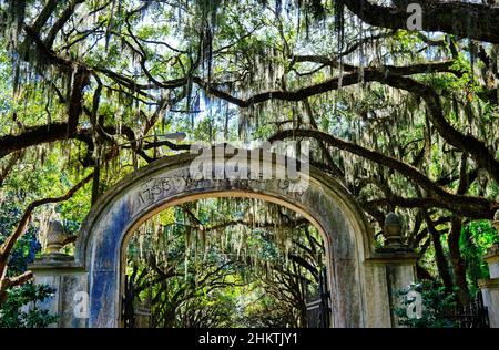 SAVANNAH, GEORGIA - 25. Oktober 2021: Savannah ist die älteste Stadt Georgiens. Von der historischen Architektur und den Kirchen bis zu den Parks und Denkmälern, Stockfoto