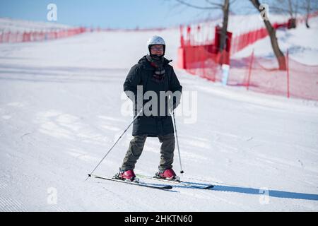 ZHANGJIAKOU, CHINA - 5. FEBRUAR 2022 - Touristen fahren im touristischen Kulunnur-Gebiet in Zhangjiakou, der nordchinesischen Provinz Hebei, am 5. Februar 2022 Ski. Stockfoto