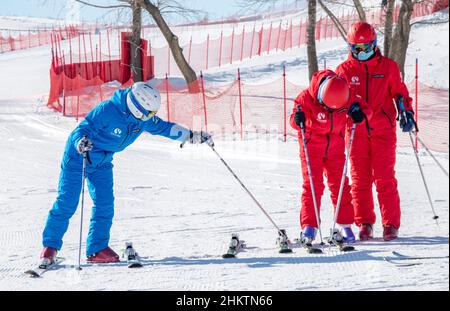 ZHANGJIAKOU, CHINA - 5. FEBRUAR 2022 - Ein Skilehrer führt Touristen im Kulunnur Tourist Area in Zhangjiakou City, der nordchinesischen Provinz Hebei, F Stockfoto