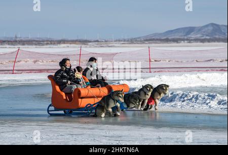 ZHANGJIAKOU, CHINA - 5. FEBRUAR 2022 - Touristen erleben Schneesport im touristischen Kulunnur-Gebiet in Zhangjiakou, der nordchinesischen Provinz Hebei, Fe Stockfoto