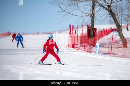 ZHANGJIAKOU, CHINA - 5. FEBRUAR 2022 - Touristen fahren im touristischen Kulunnur-Gebiet in Zhangjiakou, der nordchinesischen Provinz Hebei, am 5. Februar 2022 Ski. Stockfoto