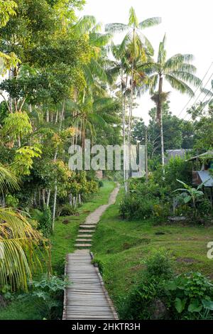 Puerto Nariño, Amazonas, Kolumbien, . Typische Dorfstraße ohne Auto Stockfoto