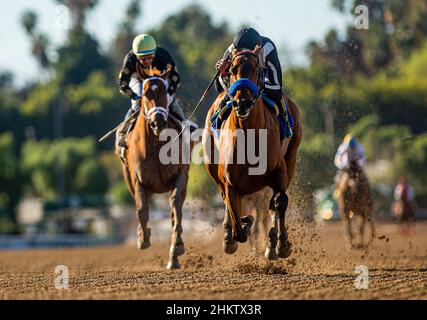 Arcadia, CA, USA. 6th. Februar 2022. 05. Februar 2022: Am 05. Februar 2022 gewinnt Merneith mit Edwin Maldonado an Bord den Einsatz von Santa Monica im Santa Anita Park in Arcadia, Kalifornien. Evers/Eclipse Sportswire/CSM/Alamy Live News Stockfoto