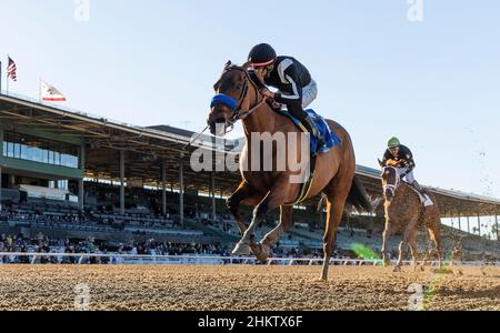 Arcadia, CA, USA. 6th. Februar 2022. 05. Februar 2022: Am 05. Februar 2022 gewinnt Merneith mit Edwin Maldonado an Bord den Einsatz von Santa Monica im Santa Anita Park in Arcadia, Kalifornien. Evers/Eclipse Sportswire/CSM/Alamy Live News Stockfoto