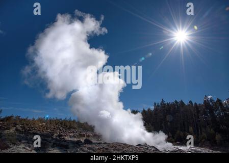 Steamboat Geyser im Norris Geyser Basin des Yellowstone National Park, Wyoming. Stockfoto