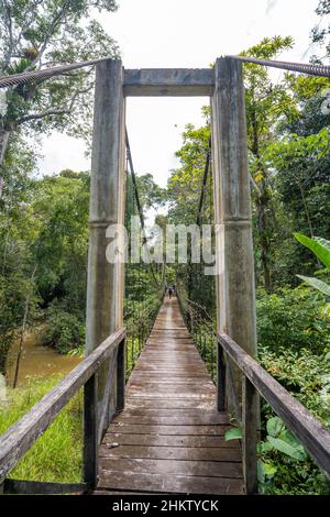 Wanderung zwischen Puerto Nariño und der indigenen Gemeinde Tikuna in Saint martin, Leticia, Amazonien, Kolumbien Stockfoto