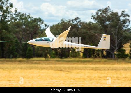 Ein deutsches Schepp-Hirth Duo Discus XT Segelflugzeug, das am Lake Keepir Flugplatz Gunnedah Australia abfliegt. Stockfoto