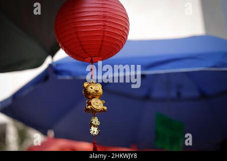 Mexiko-Stadt, Mexiko. 05th. Februar 2022. Während der Feierlichkeiten zum chinesischen Neujahr werden Tiger-Souvenirs auf den Straßen verkauft.das chinesische Neujahr des Tigers wird in Mexiko-Stadt trotz der hohen Covid-19-Infektionen gefeiert. (Foto von Guillermo Diaz/SOPA Images/Sipa USA) Quelle: SIPA USA/Alamy Live News Stockfoto