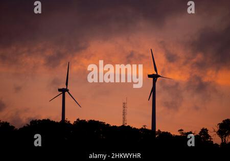 Windturbinen auf Milman Hill Thursday Island Stockfoto