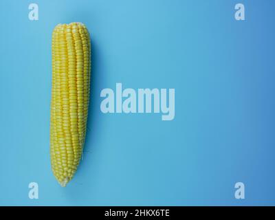 Mais auf blauem Hintergrund. Gesundes Gemüsekonzept mit Kopierraum. Stockfoto