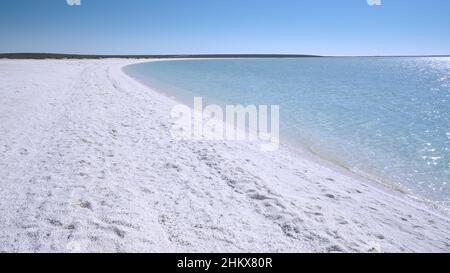 Herbstnachmittag Blick auf Shell Beach in Shark Bay Stockfoto