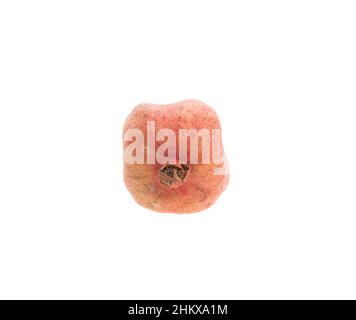 Verfaulte Granatapfelfrucht. Isoliert auf weißem Hintergrund. Stockfoto