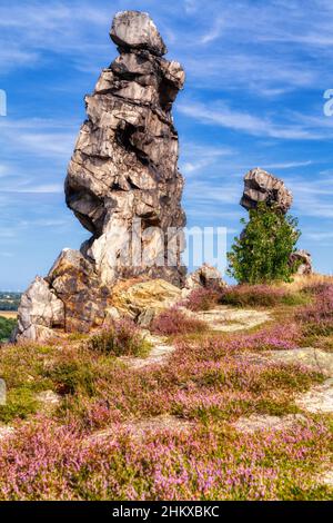 Teufelsmauer stieg bei Thale Bodetal Harz Stockfoto