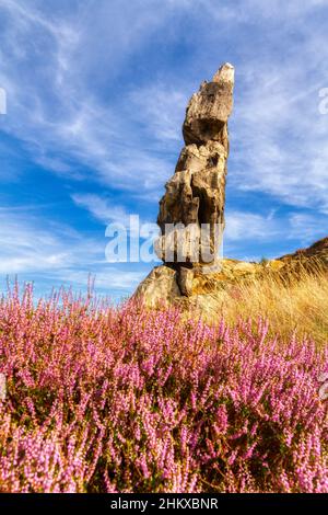 Teufelsmauer stieg bei Thale Bodetal Harz Stockfoto