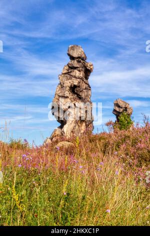 Teufelsmauer stieg bei Thale Bodetal Harz Stockfoto