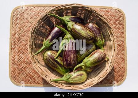 Lila und grün gestreifte dua-farbige Brinjals im Korb. Auberginen- oder Auberginen-Gemüse aus dem südasiatischen Indien Gujarat. Stockfoto