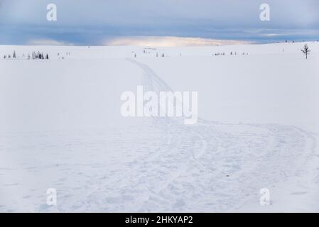 Spuren eines Schneemobils auf einer schneeweißen Tundra-Landschaft. Autonomer Kreis Jamal-Nenzen, Russland Stockfoto