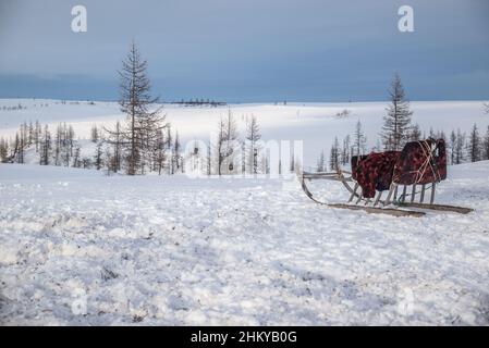 Ein Nenet-Holzschlitten auf einer von Schnee bedeckten Tundralandschaft. Autonomer Kreis Jamal-Nenzen, Russland Stockfoto