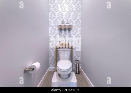 Kleines WC mit weißem Tritthocker und an der Wand montiertem Toilettenpapierhalter Stockfoto