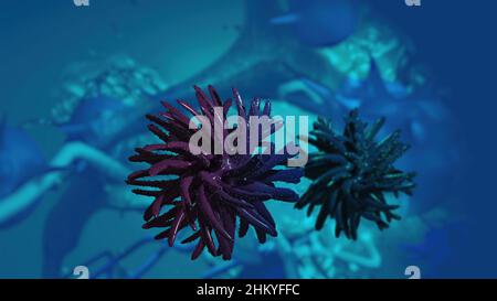 3D Illustration - Flurona, Doppelinfektion von Covid und Grippe. Mutiertes Coronavirus SARS-CoV-2. Stockfoto